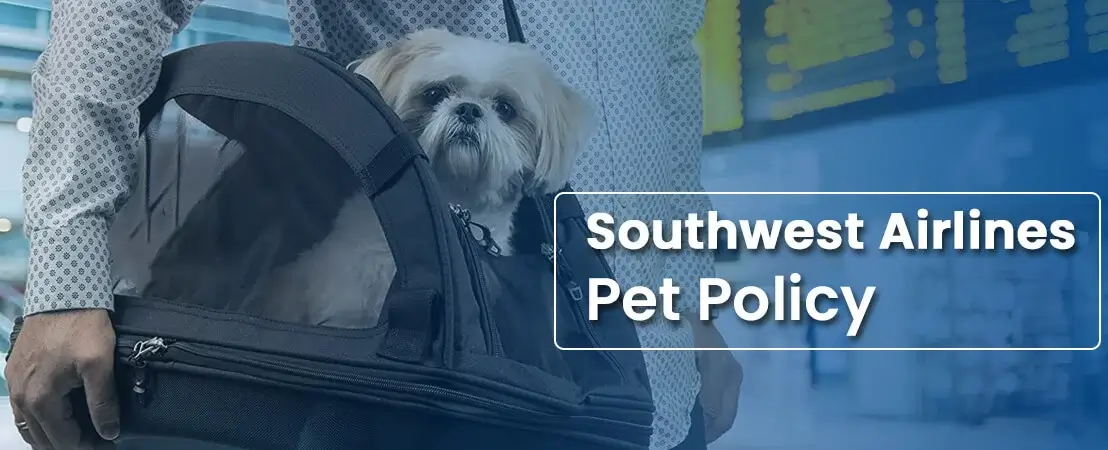 Southwest Airlines Pet Policy