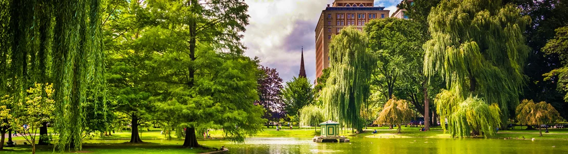 The Public Garden